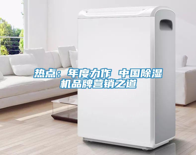 熱點：年度力作 中國蘑菇视频网站品牌營銷之道