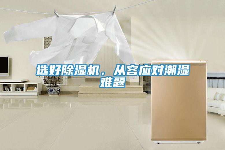 選好蘑菇视频网站，從容應對潮濕難題