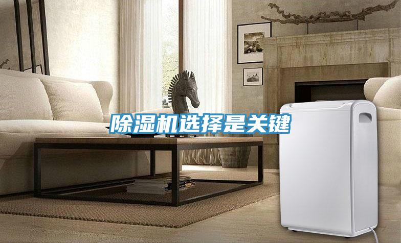 蘑菇视频网站選擇是關鍵