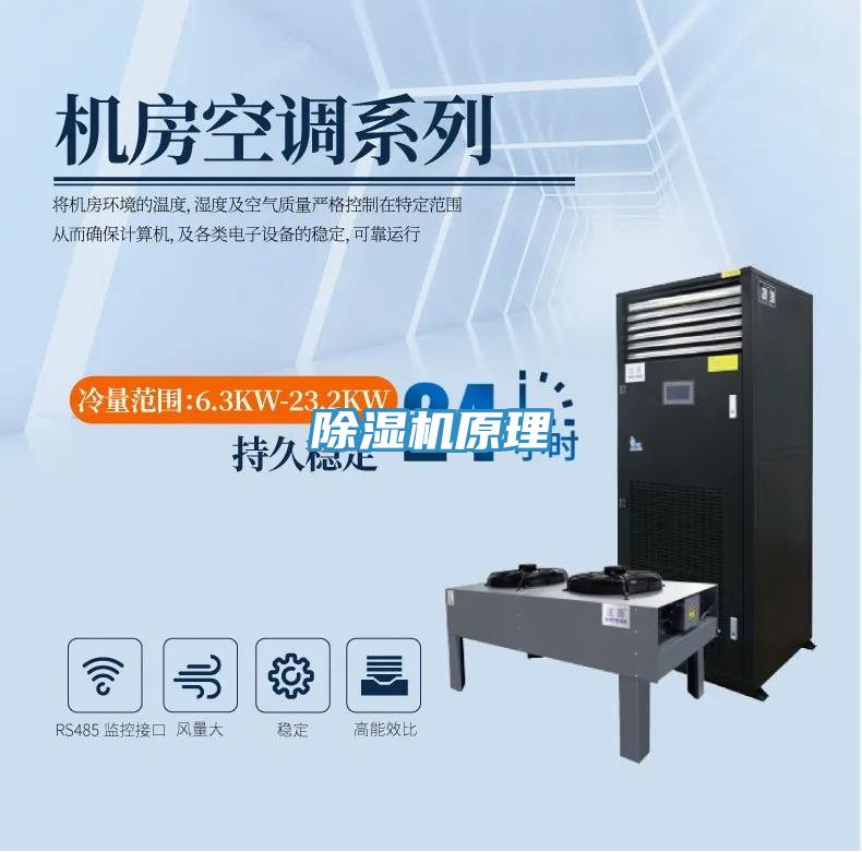 蘑菇视频网站原理