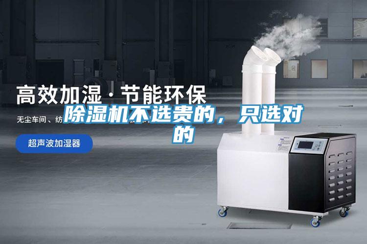 蘑菇视频网站不選貴的，隻選對的
