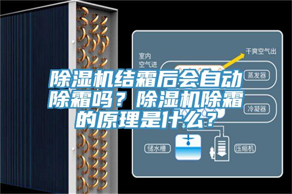 蘑菇视频网站結霜後會自動除霜嗎？蘑菇视频网站除霜的原理是什麽？