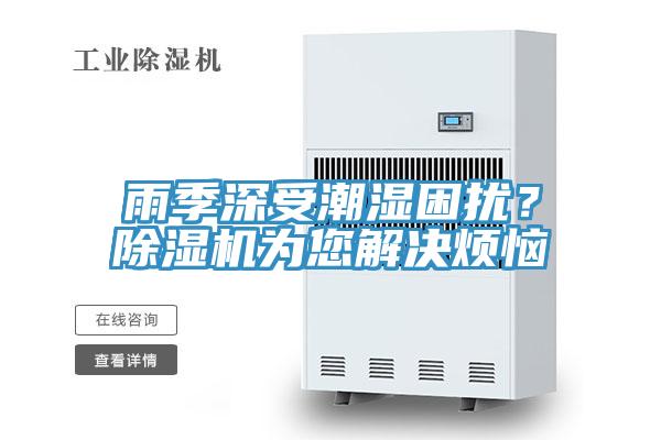 雨季深受潮濕困擾？蘑菇视频网站為您解決煩惱