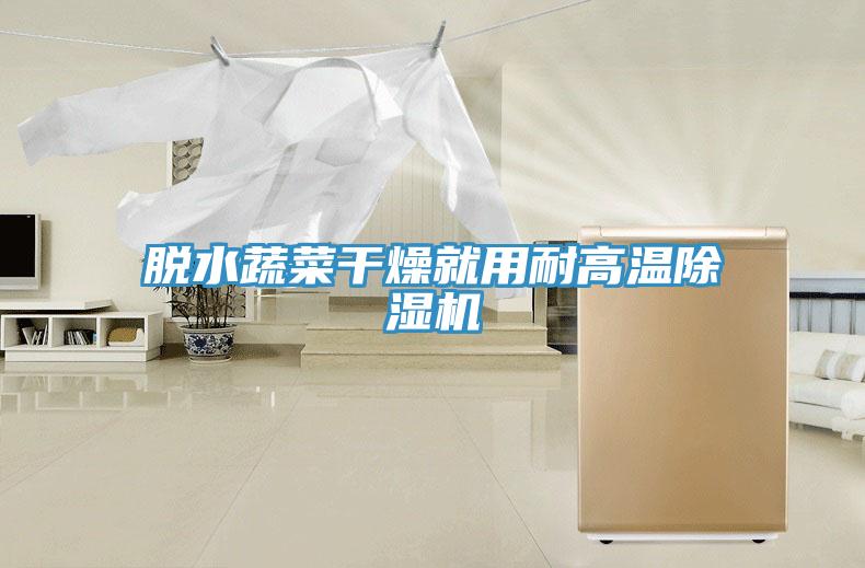 脫水蔬菜幹燥就用耐高溫蘑菇视频网站
