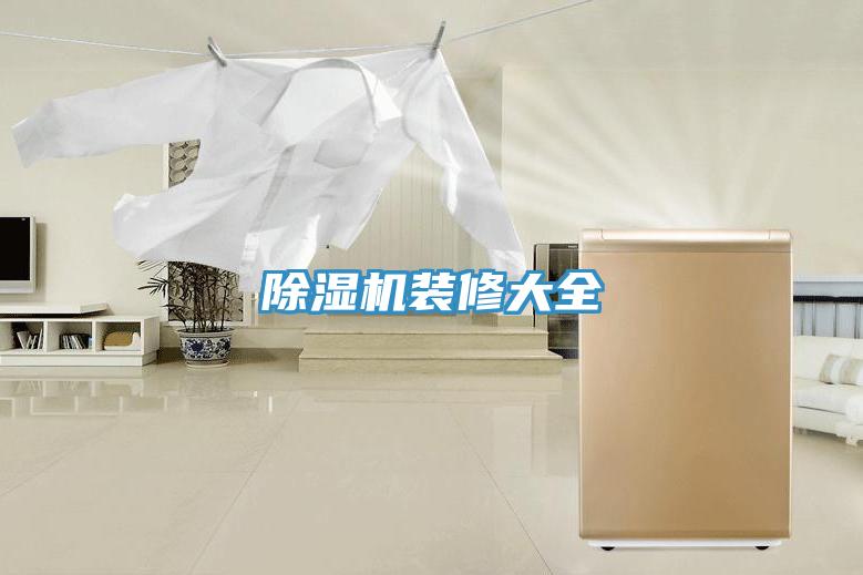 蘑菇视频网站裝修大全