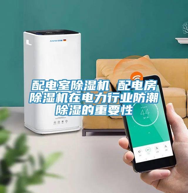 配電室蘑菇视频网站 配電房蘑菇视频网站在電力行業防潮除濕的重要性