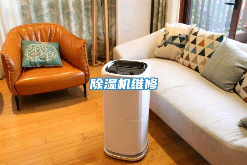蘑菇视频网站維修