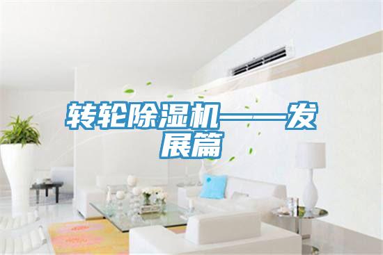 轉輪蘑菇视频网站——發展篇