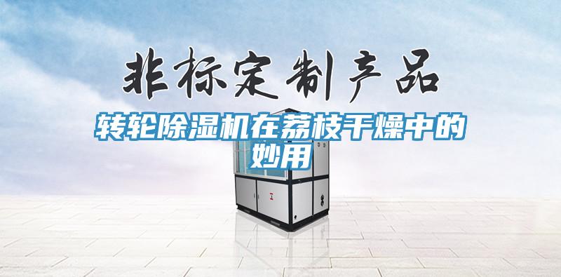 轉輪蘑菇视频网站在荔枝幹燥中的妙用