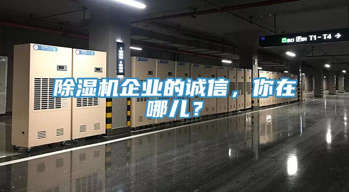 蘑菇视频网站企業的誠信，你在哪兒？