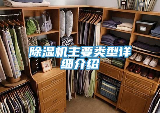 蘑菇视频网站主要類型詳細介紹