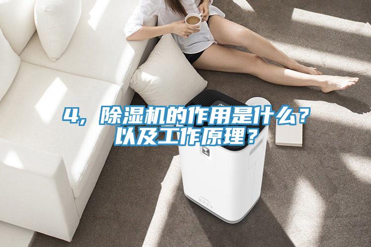 4, 蘑菇视频网站的作用是什麽？以及工作原理？