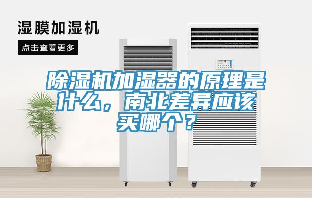 蘑菇视频网站加濕器的原理是什麽，南北差異應該買哪個？