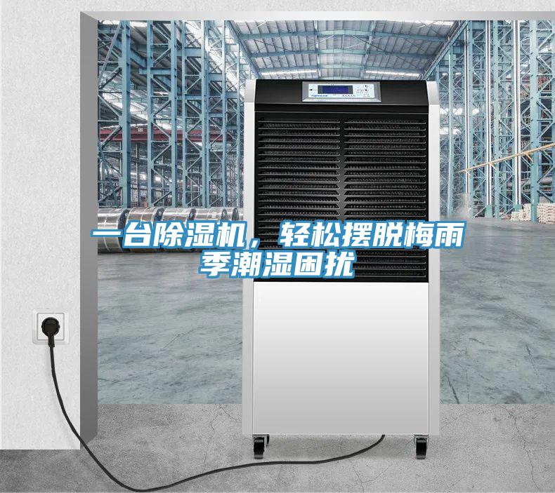 一台蘑菇视频网站，輕鬆擺脫梅雨季潮濕困擾