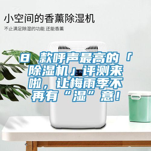 8 款呼聲最高的「蘑菇视频网站」評測來啦，讓梅雨季不再有“濕”意！