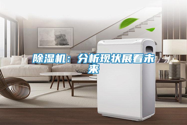 蘑菇视频网站：分析現狀展看未來