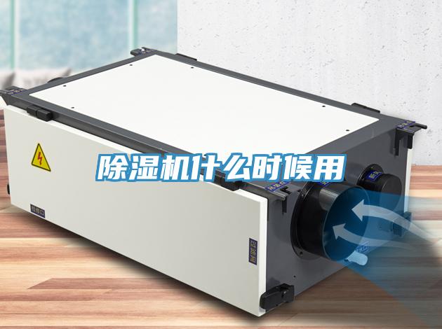 蘑菇视频网站什麽時候用