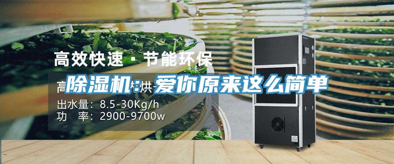 蘑菇视频网站：愛你原來這麽簡單