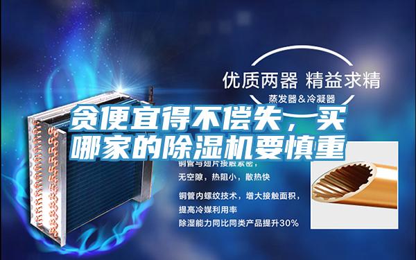 貪便宜得不償失，買哪家的蘑菇视频网站要慎重