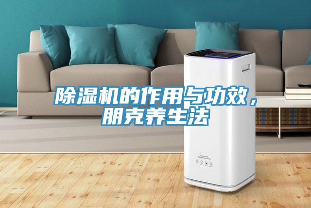 蘑菇视频网站的作用與功效，朋克養生法
