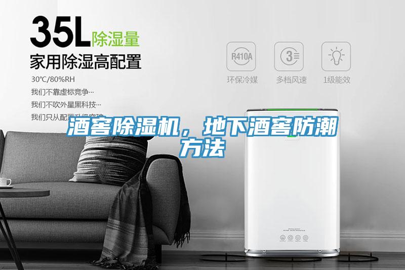 酒窖蘑菇视频网站，地下酒窖防潮方法