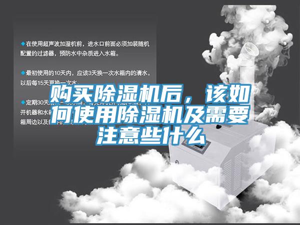 購買蘑菇视频网站後，該如何使用蘑菇视频网站及需要注意些什麽