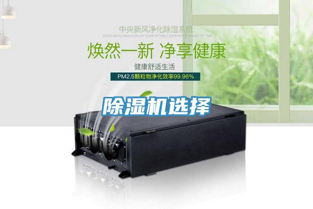 蘑菇视频网站選擇