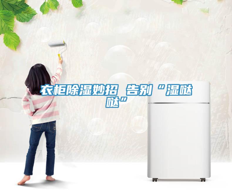 衣櫃除濕妙招 告別“濕噠噠”