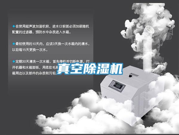 真空蘑菇视频网站