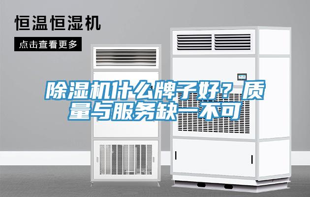 蘑菇视频网站什麽牌子好？質量與服務缺一不可