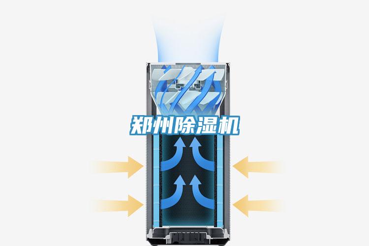鄭州蘑菇视频网站