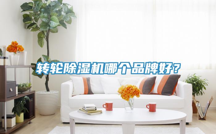轉輪蘑菇视频网站哪個品牌好？