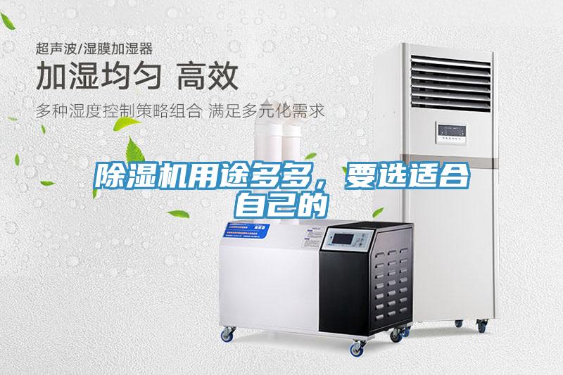 蘑菇视频网站用途多多，要選適合自己的
