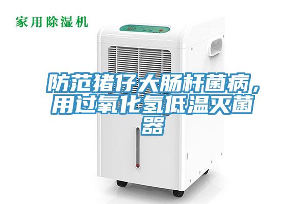 防範豬仔大腸杆菌病，用過氧化氫低溫滅菌器