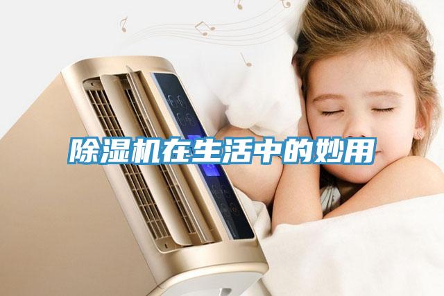 蘑菇视频网站在生活中的妙用