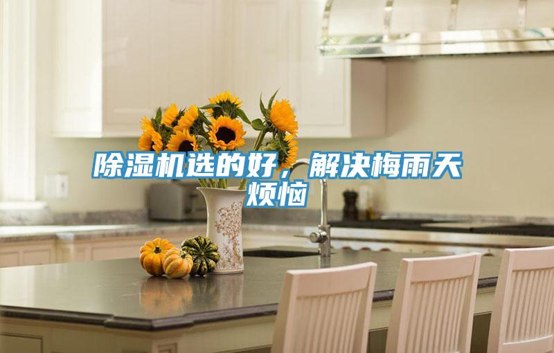 蘑菇视频网站選的好，解決梅雨天煩惱