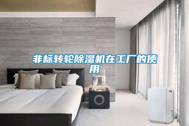 非標轉輪蘑菇视频网站在工廠的使用