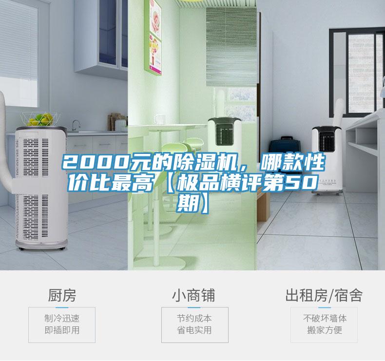 2000元的蘑菇视频网站，哪款性價比最高【極品橫評第50期】