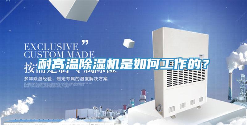 耐高溫蘑菇视频网站是如何工作的？