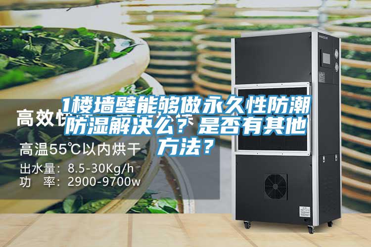 1樓牆壁能夠做永久性防潮防濕解決麽？是否有其他方法？