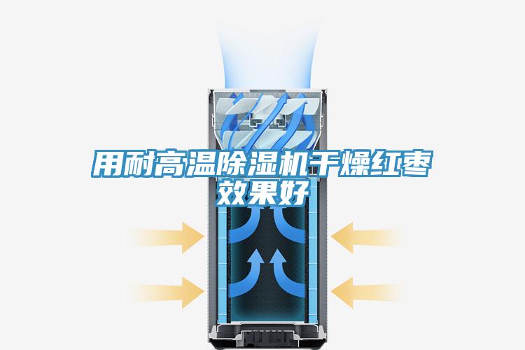 用耐高溫蘑菇视频网站幹燥紅棗效果好