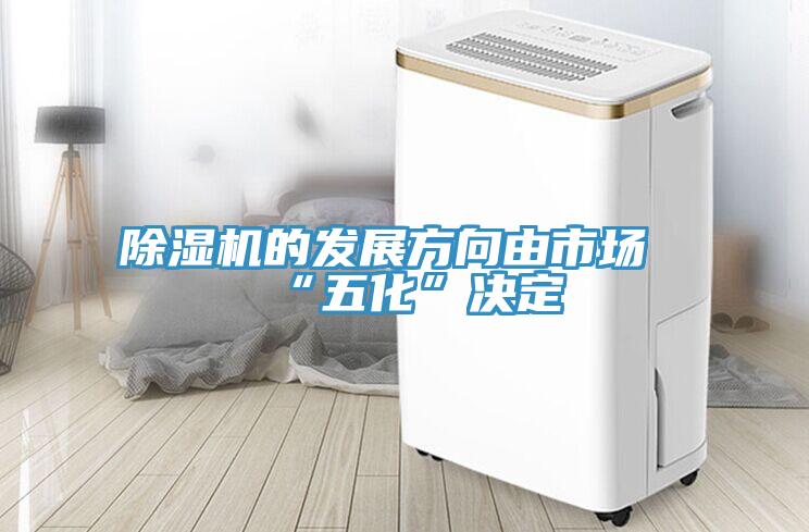 蘑菇视频网站的發展方向由市場“五化”決定
