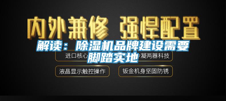 解讀：蘑菇视频网站品牌建設需要腳踏實地