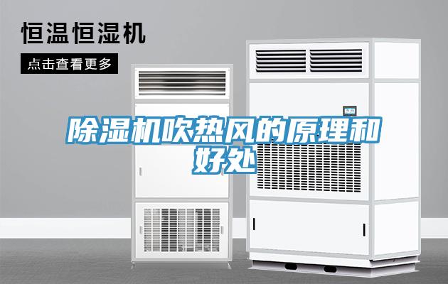 蘑菇视频网站吹熱風的原理和好處
