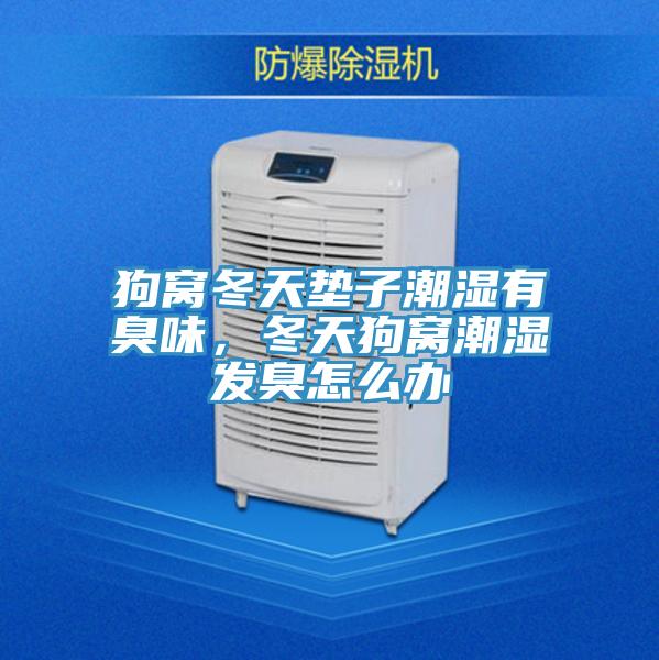 狗窩冬天墊子潮濕有臭味，冬天狗窩潮濕發臭怎麽辦