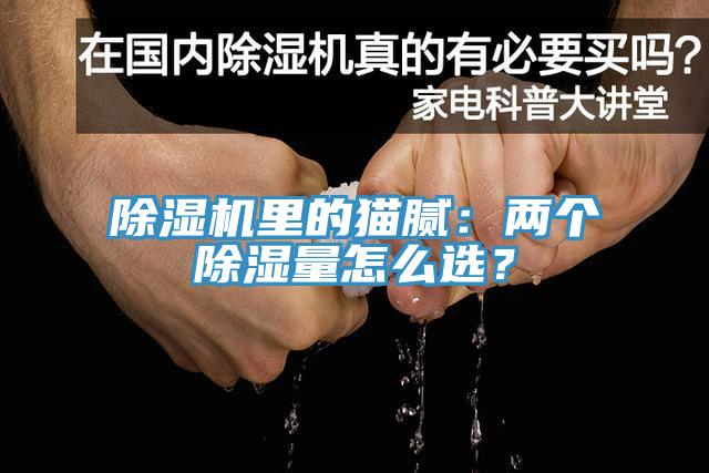 蘑菇视频网站裏的貓膩：兩個除濕量怎麽選？