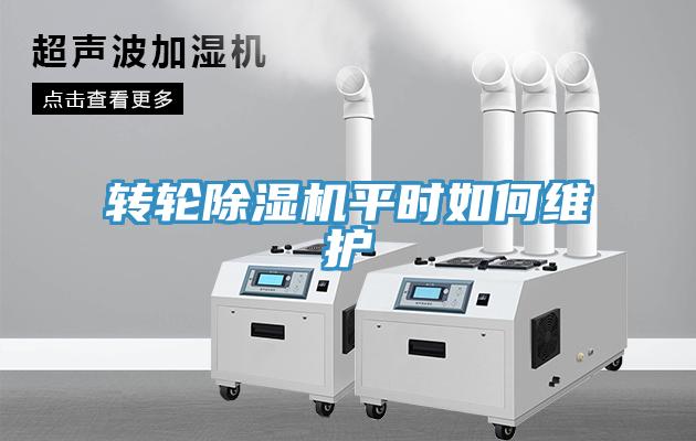 轉輪蘑菇视频网站平時如何維護