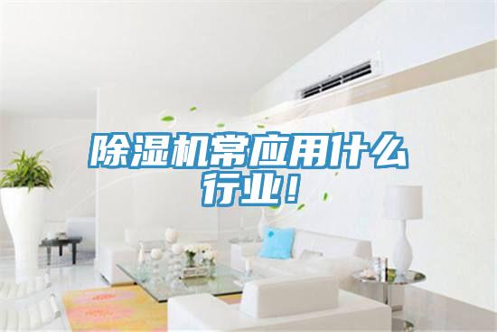 蘑菇视频网站常應用什麽行業！