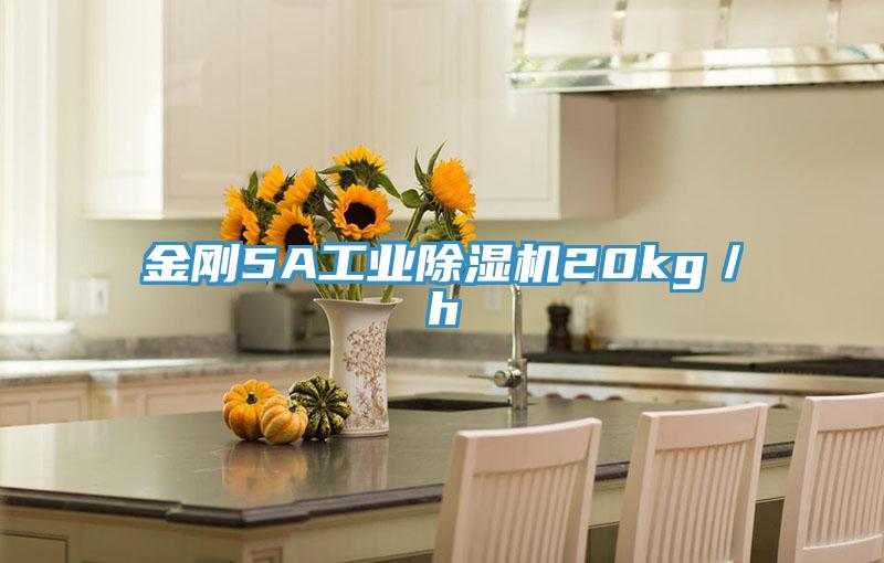 金剛5A工業蘑菇视频网站20kg／h