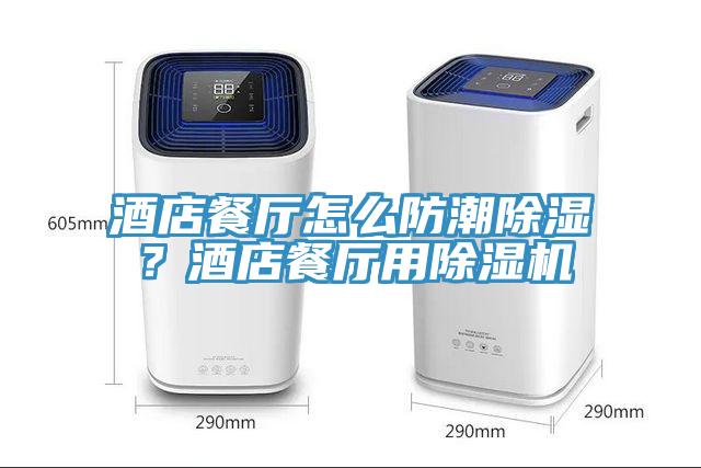 酒店餐廳怎麽防潮除濕？酒店餐廳用蘑菇视频网站